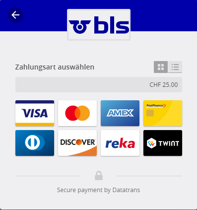 Zahlungsarten_Autoverlad_online.png