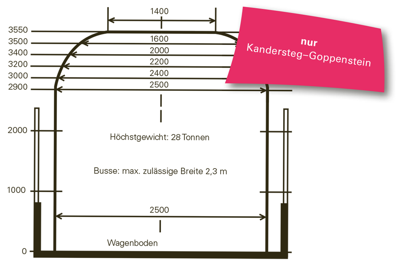 Autoverlad-Verladewagen-Grosses-Profil.png